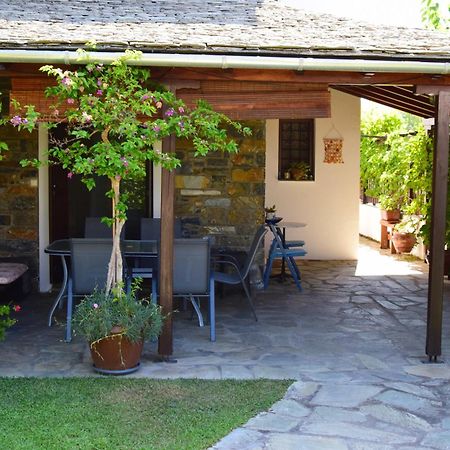 Villa Starfish Koropi Pelion Milies South Pelion Exterior foto