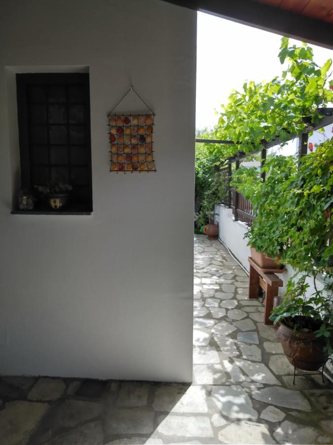 Villa Starfish Koropi Pelion Milies South Pelion Exterior foto