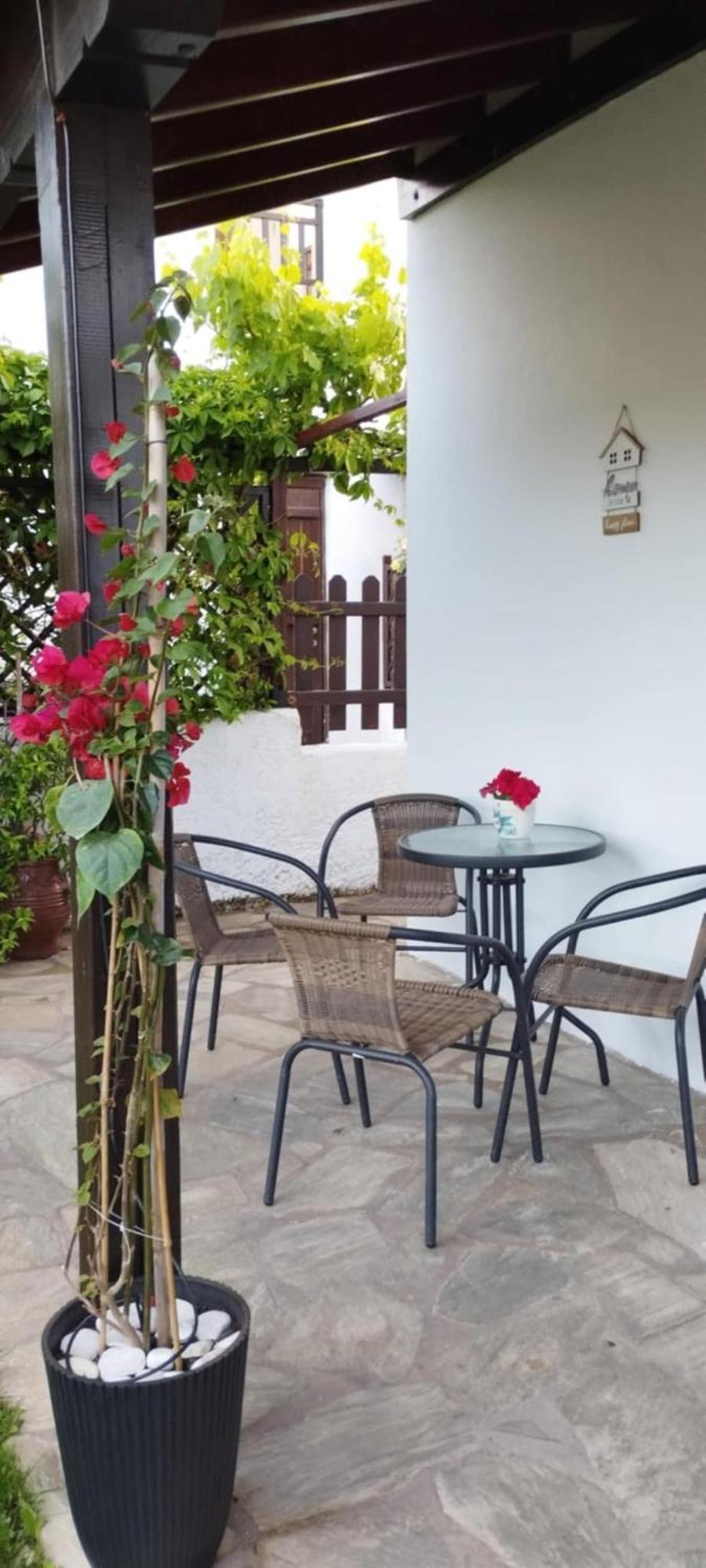 Villa Starfish Koropi Pelion Milies South Pelion Exterior foto